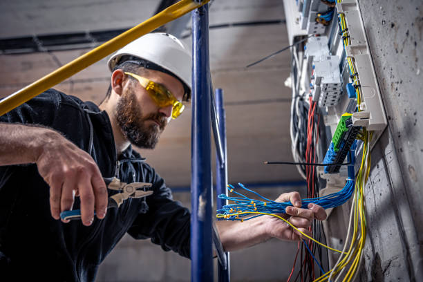 Best Electrical Troubleshooting Services  in Forestville, OH