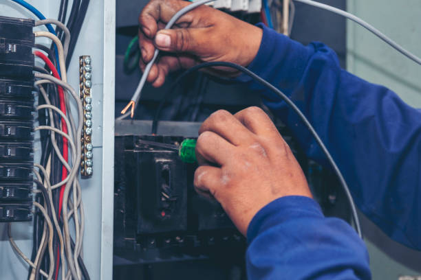 Best Electrical Wiring Services  in Forestville, OH