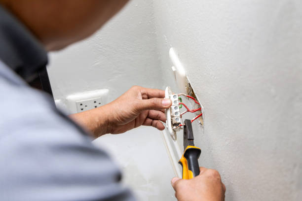 Best Industrial Electrical Services  in Forestville, OH