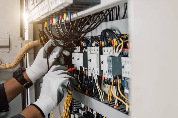 Best Generator Installation Services  in Forestville, OH